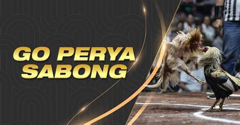 lo dyes sabong|Go Perya .